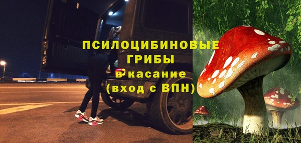 бутират Алексин