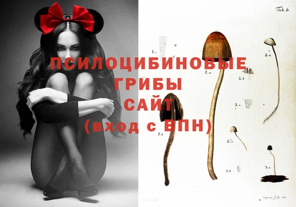бутират Алексин